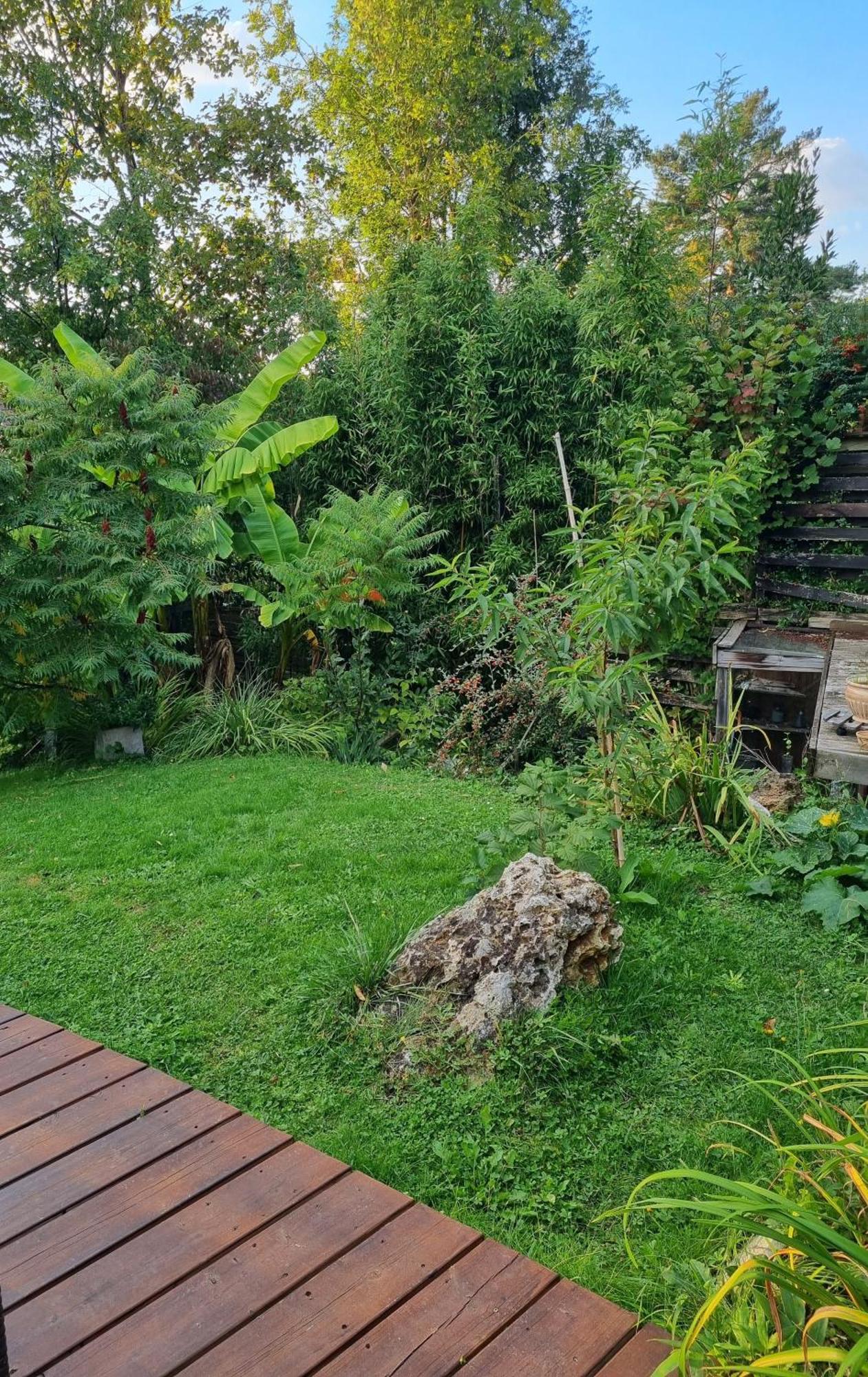 Belle Maison D'Art Verdoyante & Jardin Saint-Rémy-lès-Chevreuse Bagian luar foto