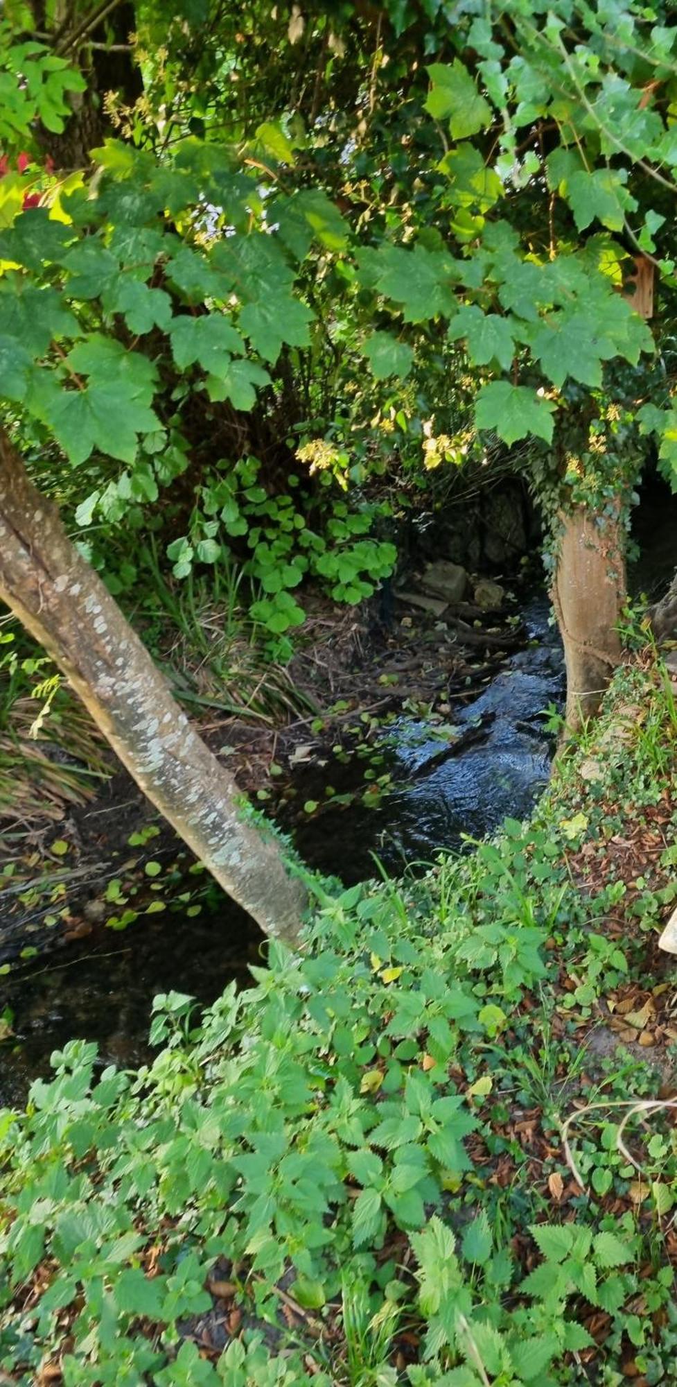 Belle Maison D'Art Verdoyante & Jardin Saint-Rémy-lès-Chevreuse Bagian luar foto